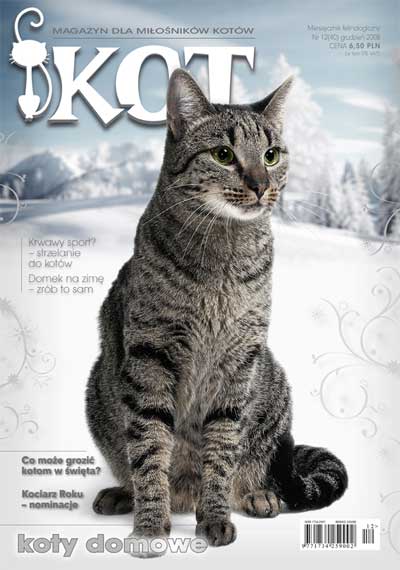 kot nie jest prezentem pod choinkę - artykul w magazynie kot
