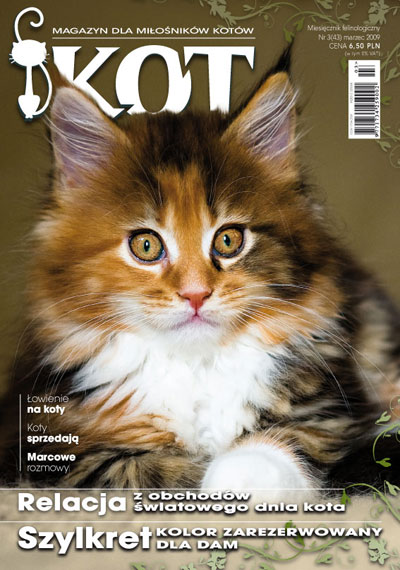 magazyn kot artykuł na temat rozmnażania kotów